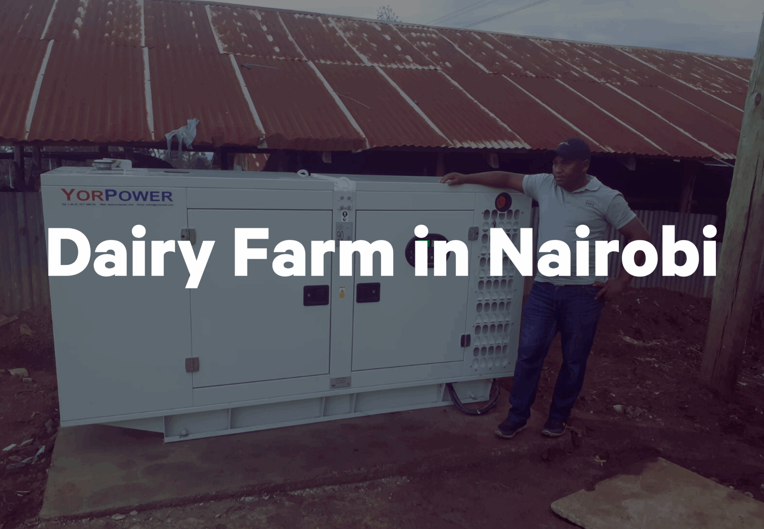 Dairy Farm Generator